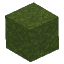 Plant Moss Block Green Dark