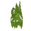 Plant Moss Cave Green