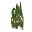 Plant Moss Cave Green Dark