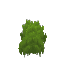 Plant Moss Green