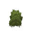 Plant Moss Green Dark