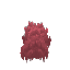 Plant Moss Red