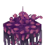 Plant Moss Rug Pink