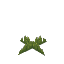 Plant Moss Short Green Dark