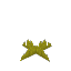 Plant Moss Short Yellow