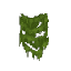 Plant Moss Wall Green