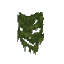 Plant Moss Wall Green Dark