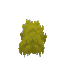 Plant Moss Yellow