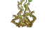 Plant Roots Cave