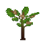 Plant Sapling Apple