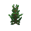 Plant Sapling Spruce