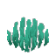 Plant Seaweed Grass