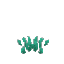 Plant Seaweed Grass Short