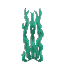 Plant Seaweed Grass Tall