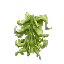 Plant Seaweed Winter Stack