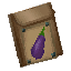 Plant Seeds Aubergine