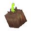 Plant Seeds Onion Eternal