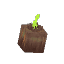 Plant Test Tree Block