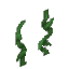 Plant Vine Liana