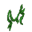 Plant Vine Liana End