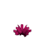 Prototype Cactus Flower Pink
