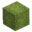 Prototype Cactus Two