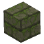 Stone Brick Mossy