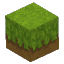 Grass Sunny