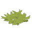 Survival Trap Grass