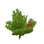 Template Crop Berry Block