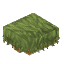 Tropicalwood Roof Flat
