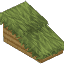 Tropicalwood Roof Shallow